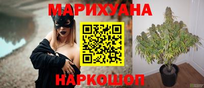Альфа ПВП Белореченск