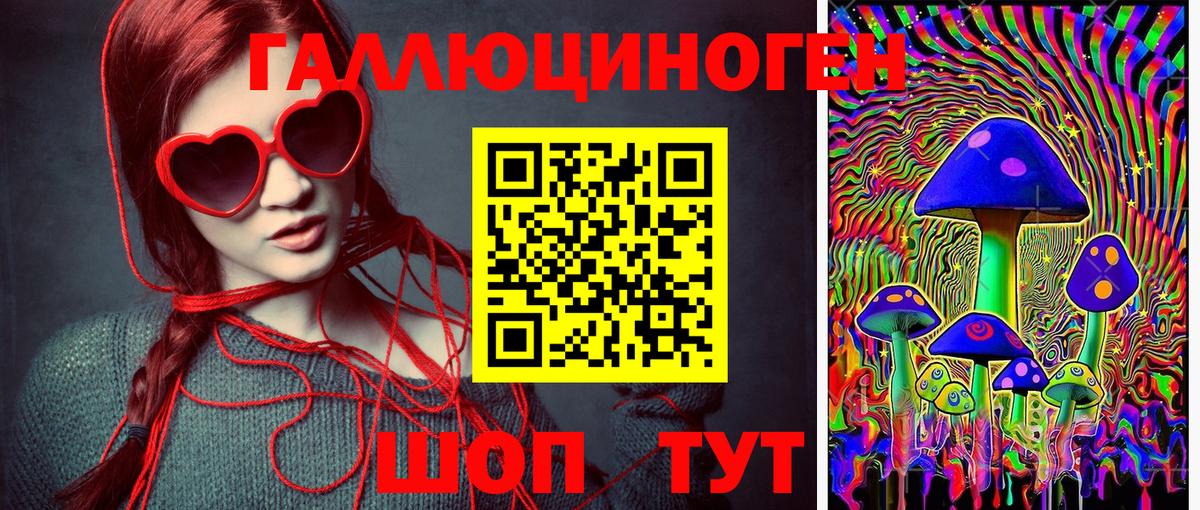 Псилоцибиновые грибы MAGIC MUSHROOMS  Вход с VPN  Гудермес  Псилоцибиновые грибы MAGIC MUSHROOMS 