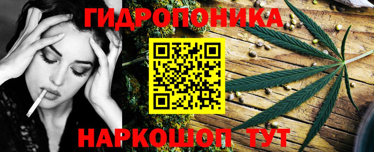 Шишки марихуана планчик  Вход с VPN  Канабис марихуана  Марихуана ГИДРОПОН  Гудермес 